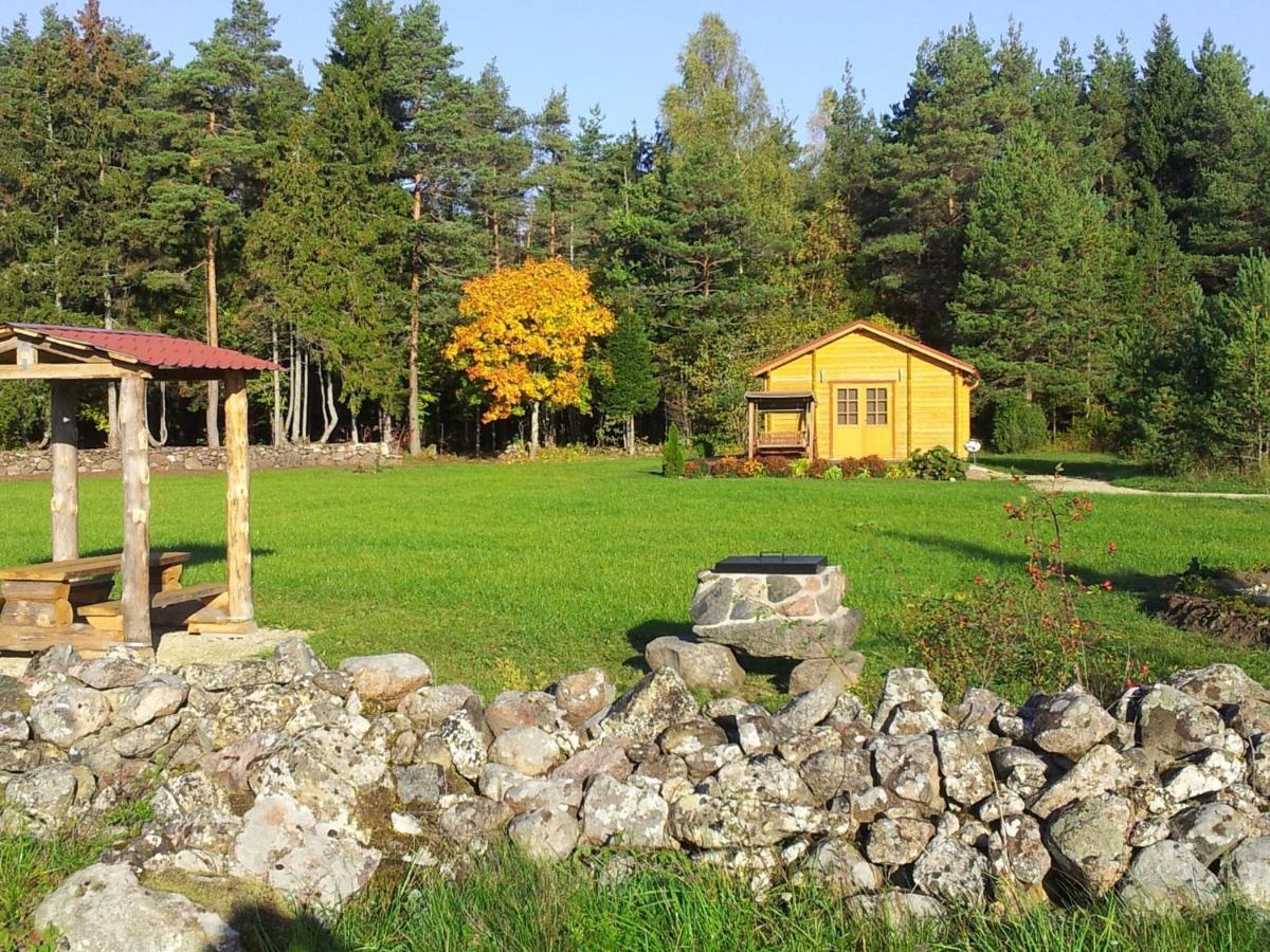 Maenniste Holiday Home Hiievalja 部屋 写真